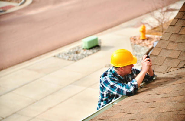 Best Roof Moss and Algae Removal  in Decatur, AR
